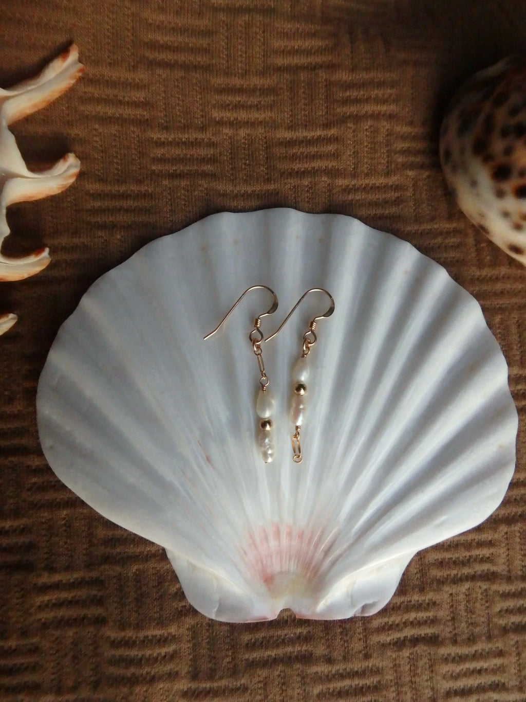 Santa Cruz Earrings
