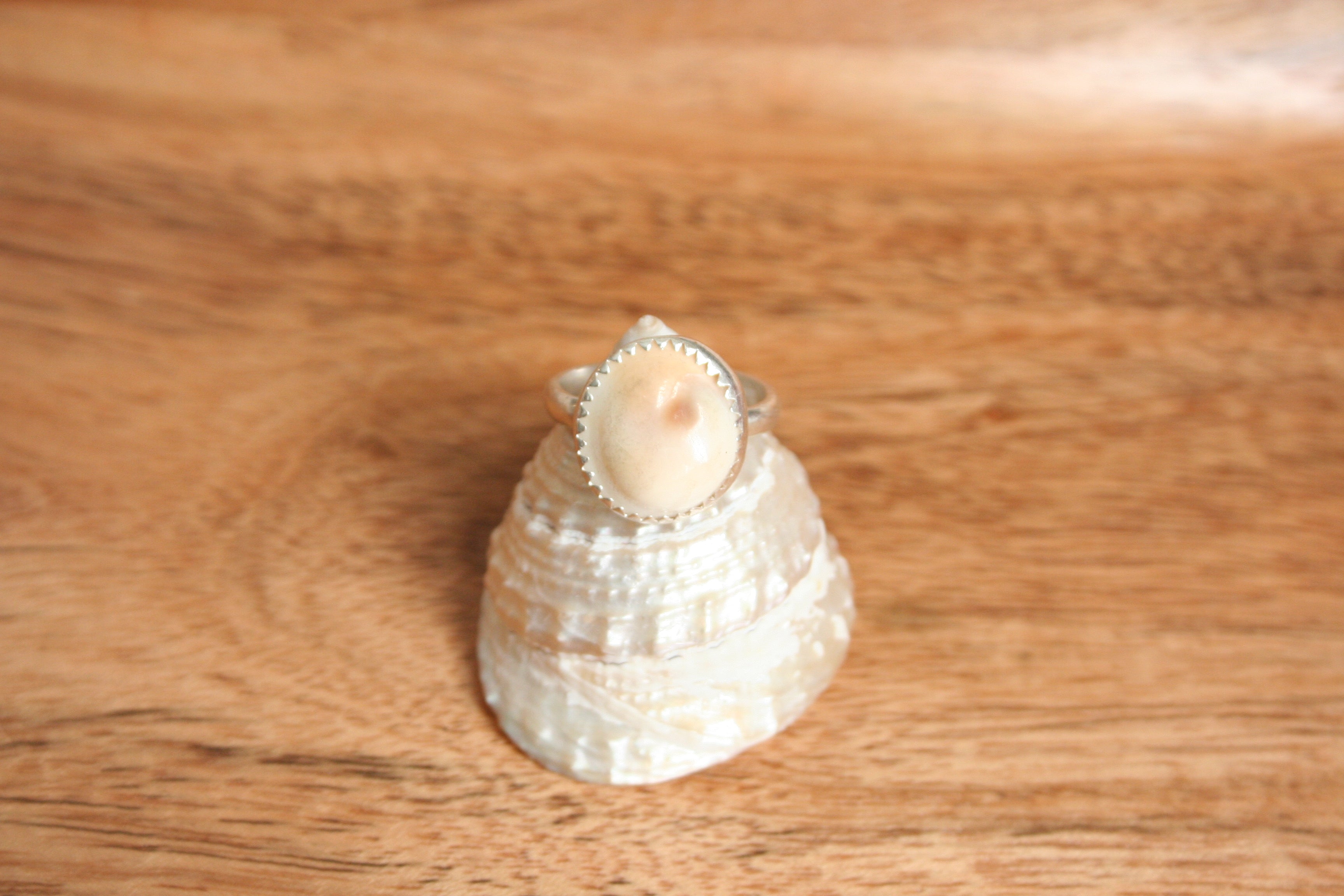 Lydia Ring