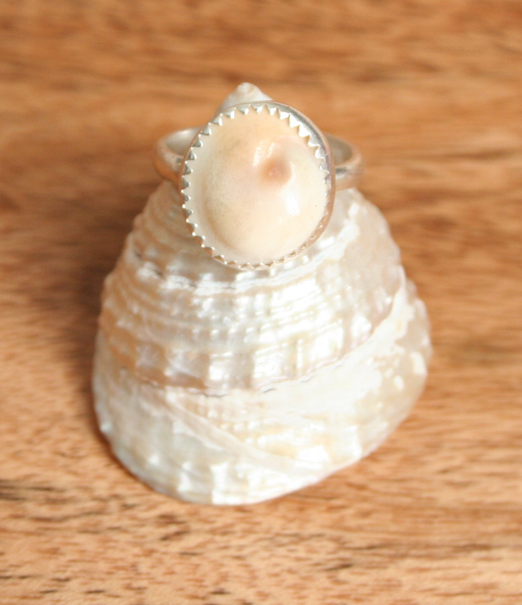 Lydia Ring